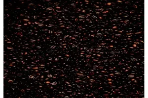 Whole Bean Coffee